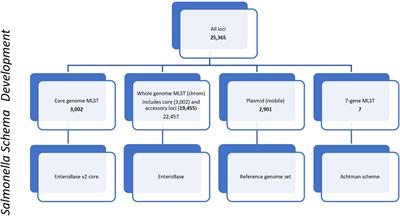 Evaluation of whole and core genome multilocus sequence typing allele schemes for Salmonella enterica outbreak detection in a national surveillance network, PulseNet USA